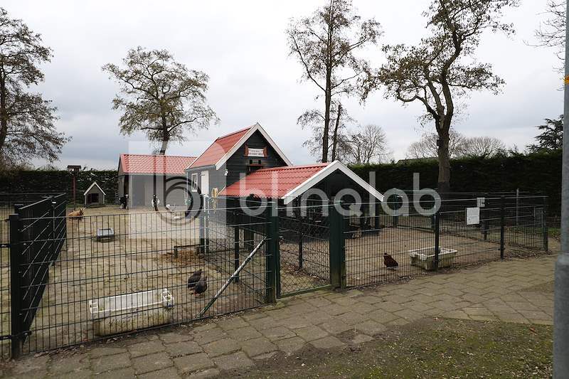 kinderboerderij_westwoud