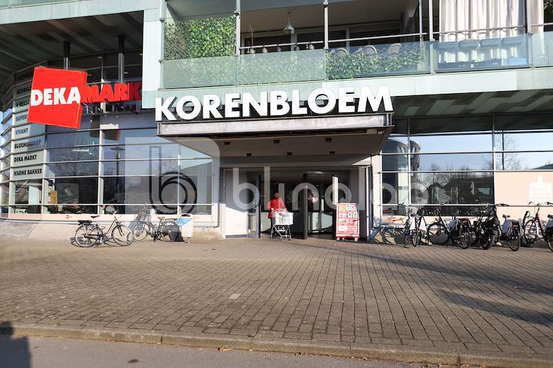 korenbloem_zwaag-2