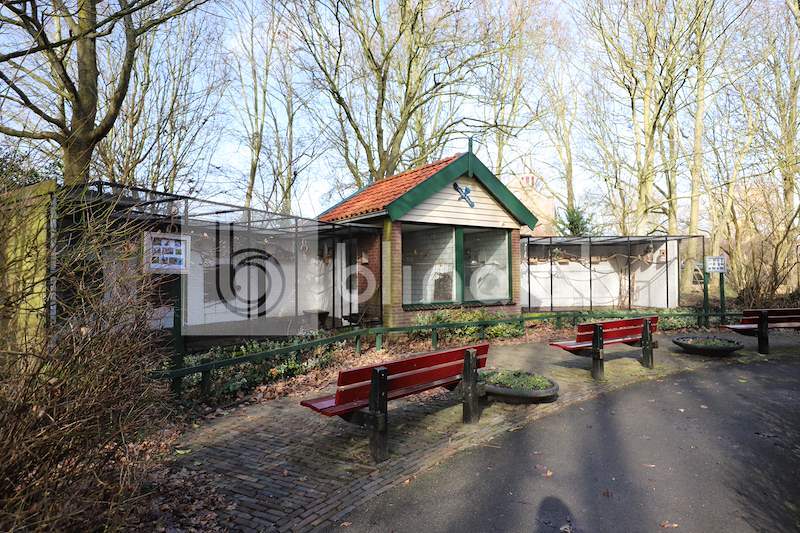 lveugelpeloisdewoid_lutjebroek-4