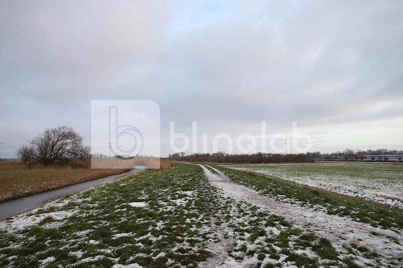 natuurgebied-Waarland