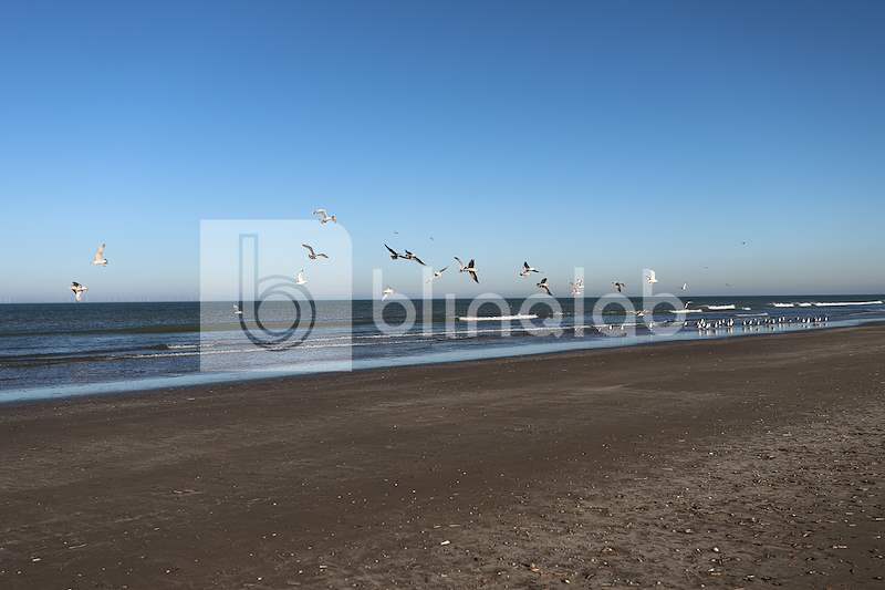 strand-Wijk-aan-Zee-7
