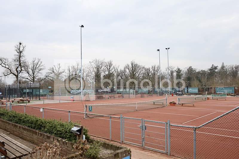 tennisvereniging-topspinners
