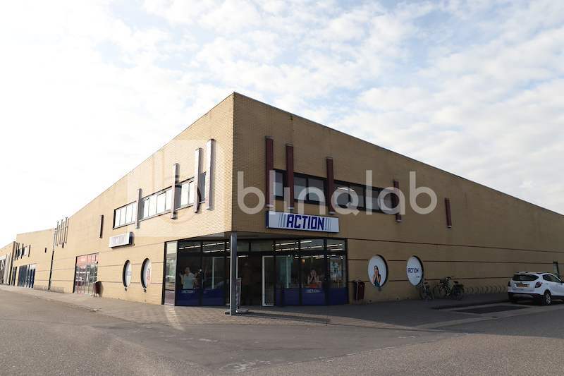 Action-Harlingen