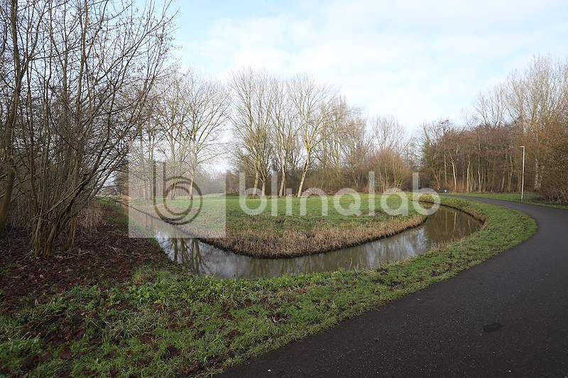 Gouwe-Bos-2