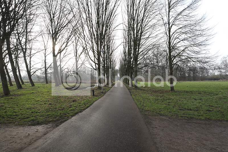 Gouwe-Bos-3