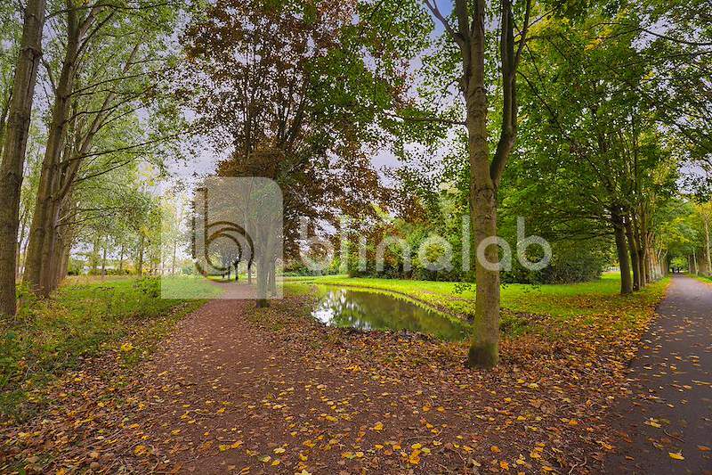 Gouwe-Bos-8