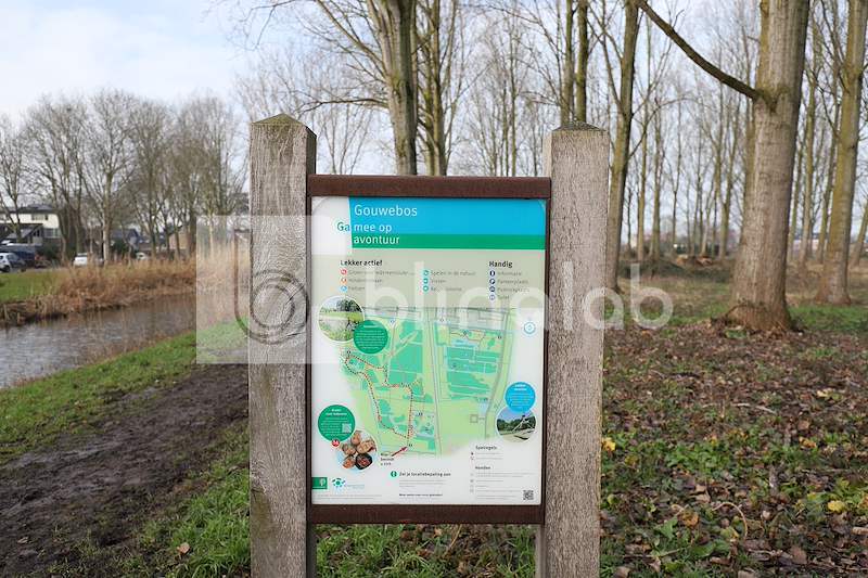 Gouwe-Bos