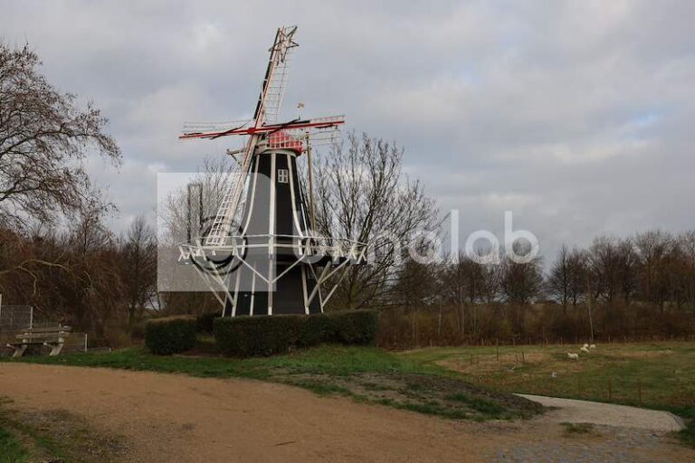 IMG_1367-Windlust