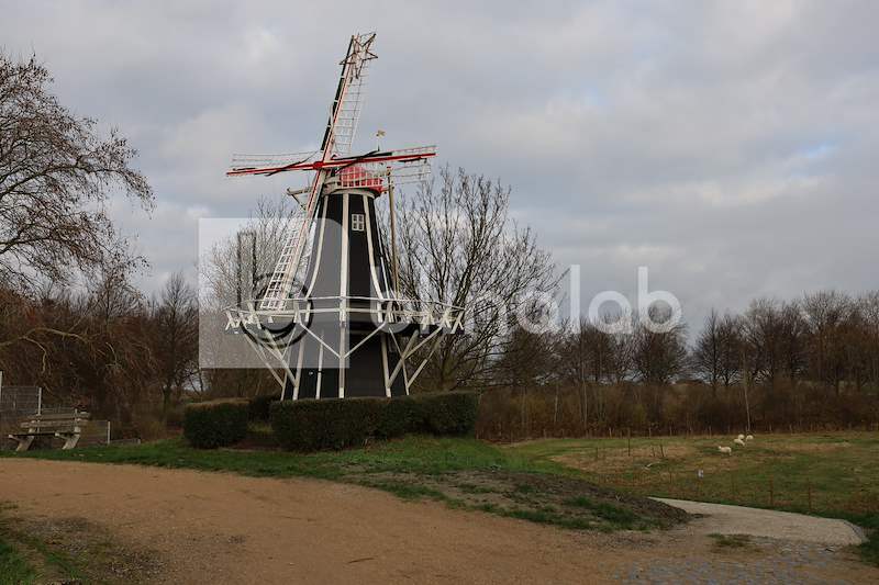 IMG_1367-Windlust