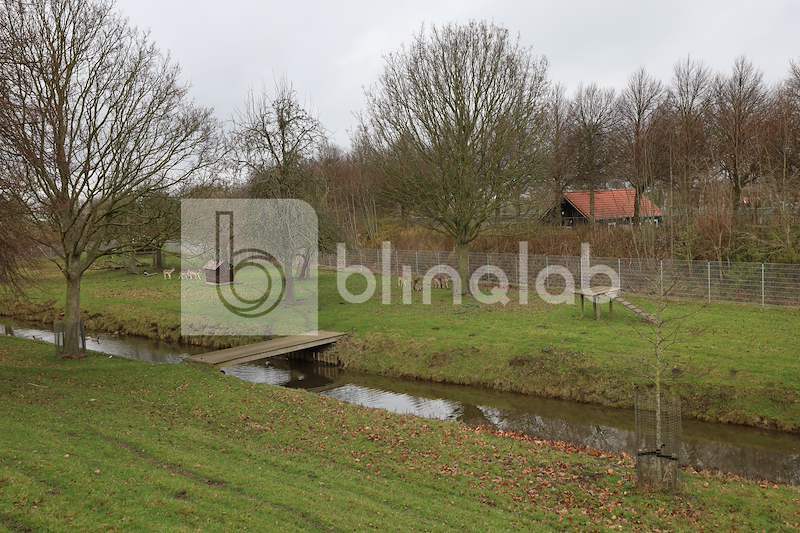 IMG_1394-Dierenweide-oosthavendijk
