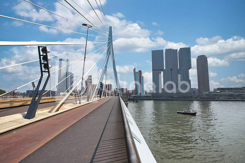 Rotterdam-Erasmusbrug-2