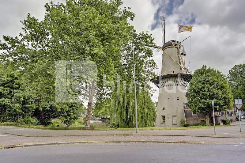 Schiedam-molen