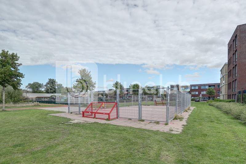 Voetbal-Plek-Rijnsburg