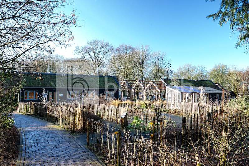 kinderboerderij