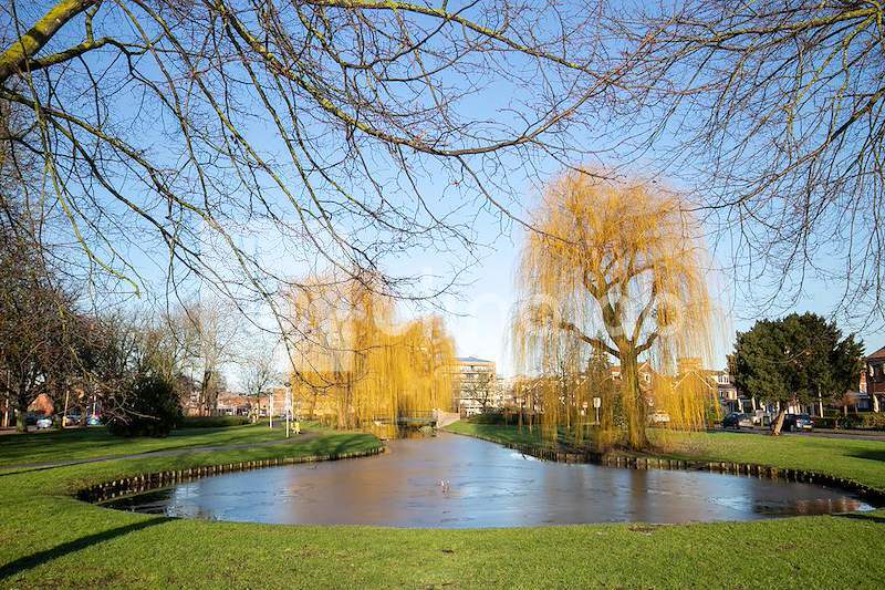 park-bij-gemeentehuis