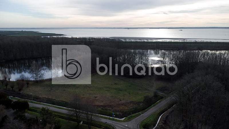 DJI_0484