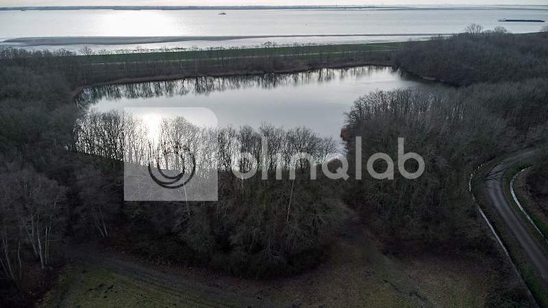 DJI_0489