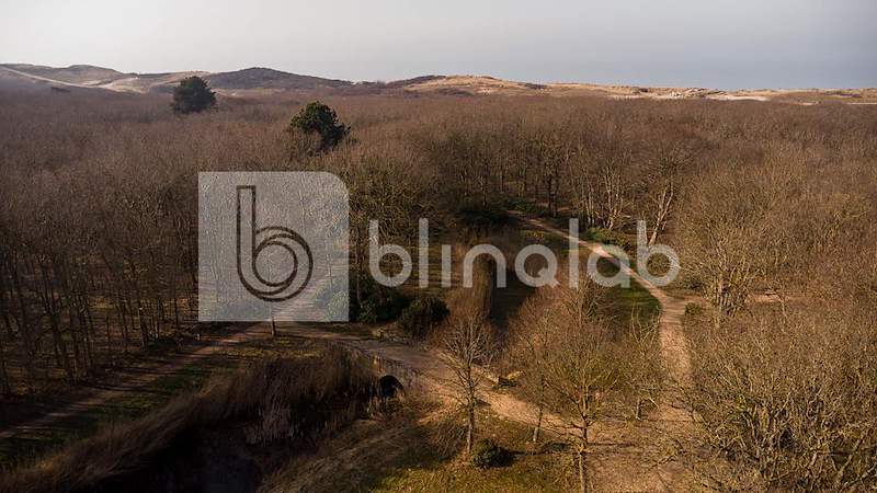DJI_0943