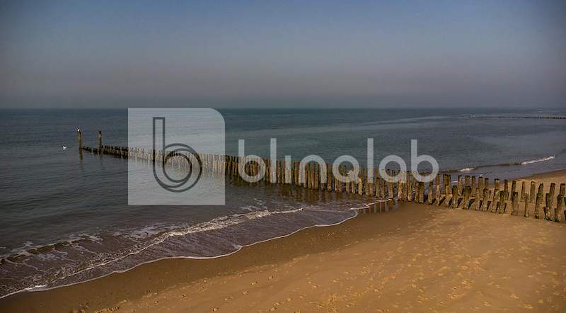 DJI_0950