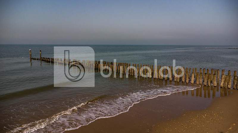 DJI_0951