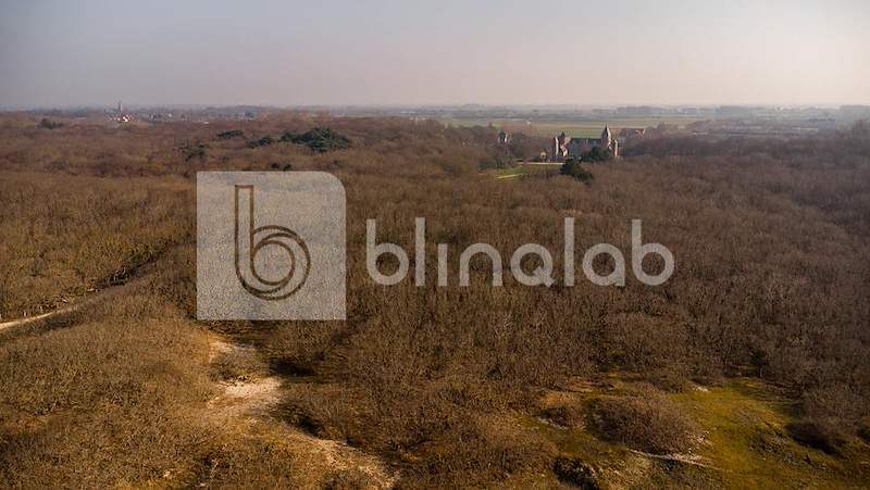 DJI_0956