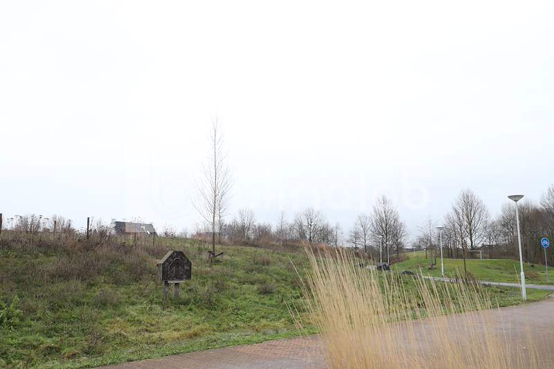 De-Bloesem