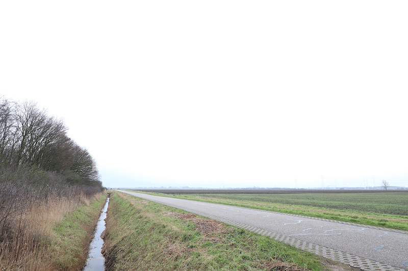 De-polder-naast-Kapelse-bos