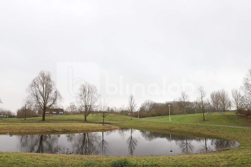 Groen-achter-school-en-scouting