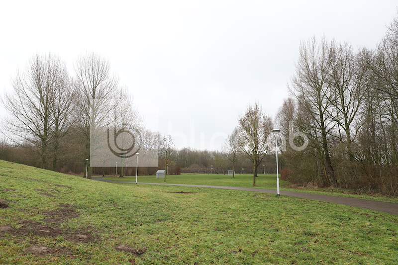 Groen-achter-scouting