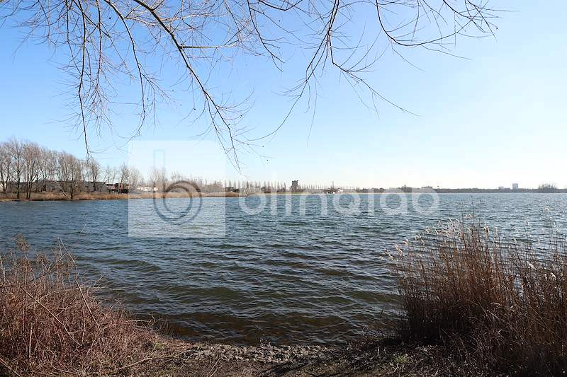 Haarrijnseplas-7
