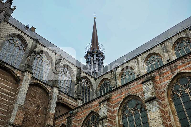 IMG_6697