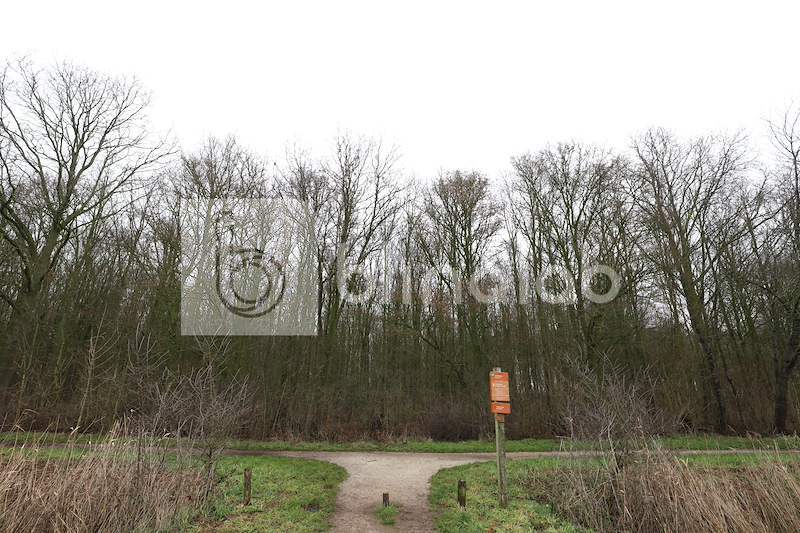 Kapelse-bos-1