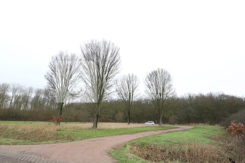 Kapelse-bos-2