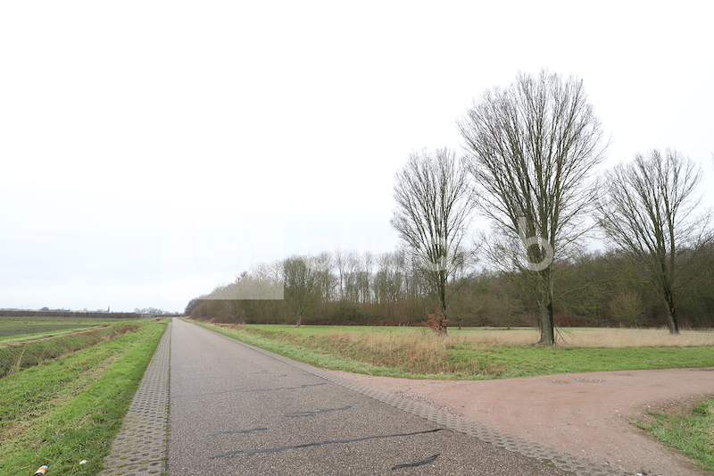 Kapelse-bos-3