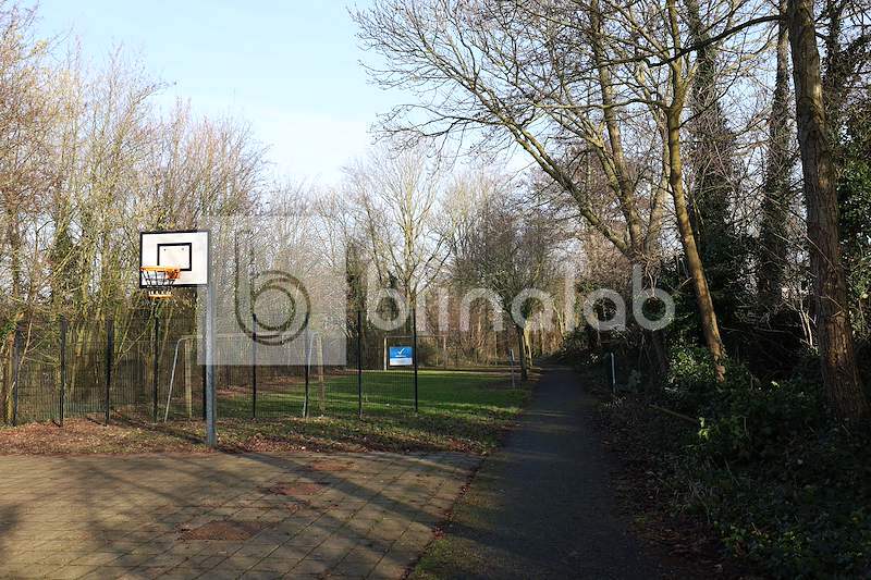 Speeltuin-4461-TZ-3