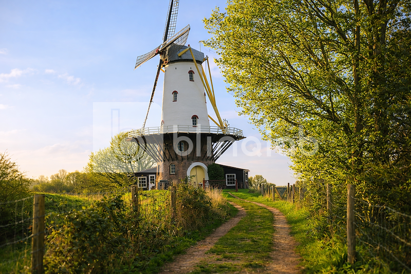 veere_molen_dekoe_02