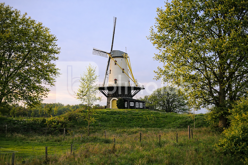 veere_molen_dekoe_04
